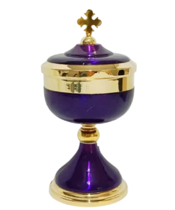 Âmbula 1119 – Viola