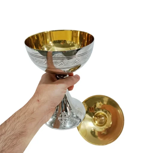Âmbula Corona Espinosa - Imagem 4